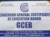 Cameroon GCE O Level English Language syllabus