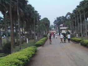 Saint Francis Higher Institute of Nursing and Midwifery accreditation