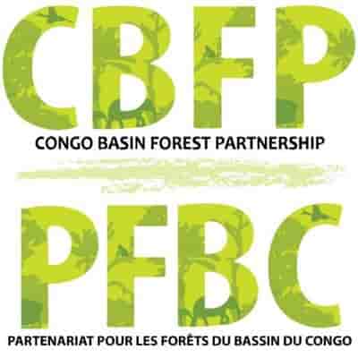 pfbc-cbfp.org PFBC Recrutement offre d'emploi cameroun