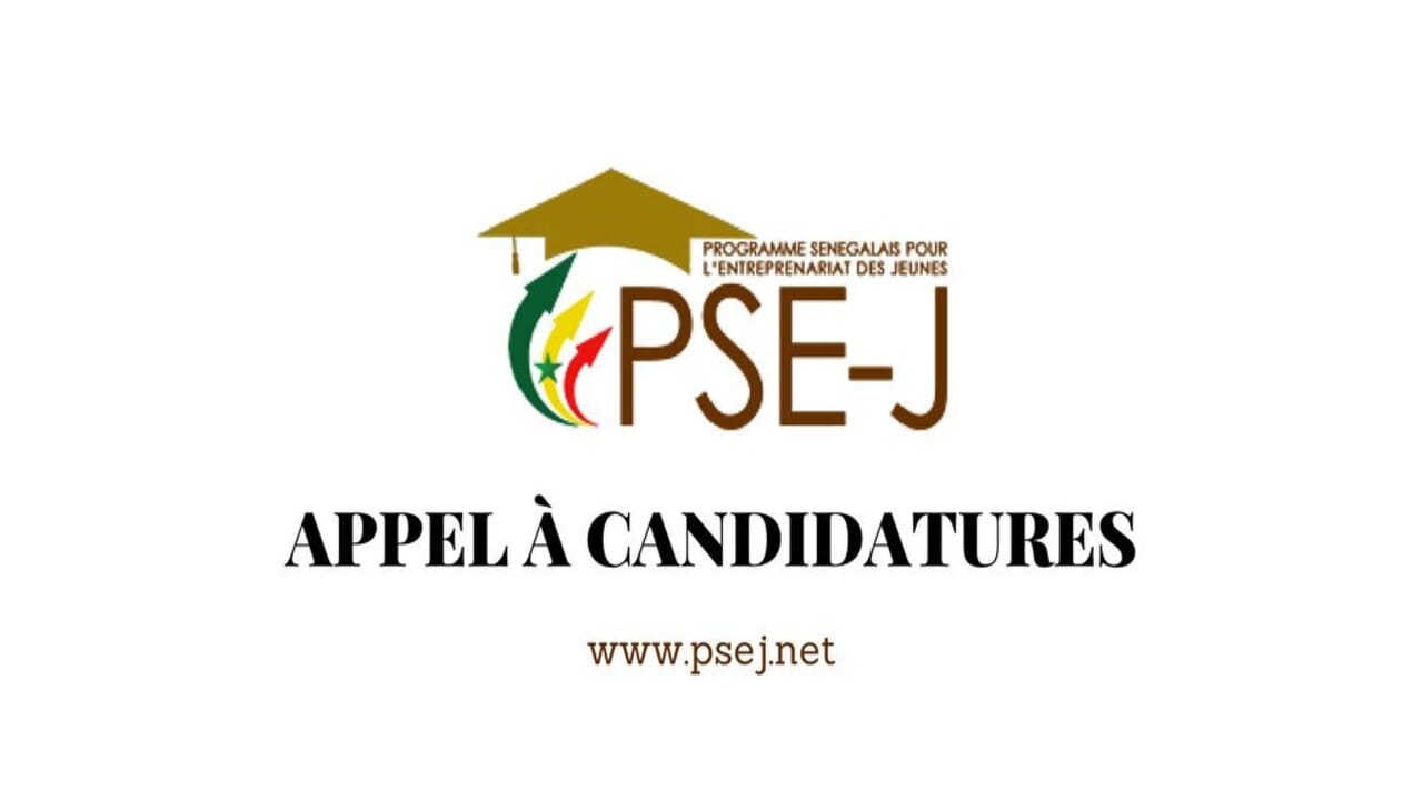 Programme sénégalais pour l’entrepreneuriat des Jeunes - PSEJ candidature
