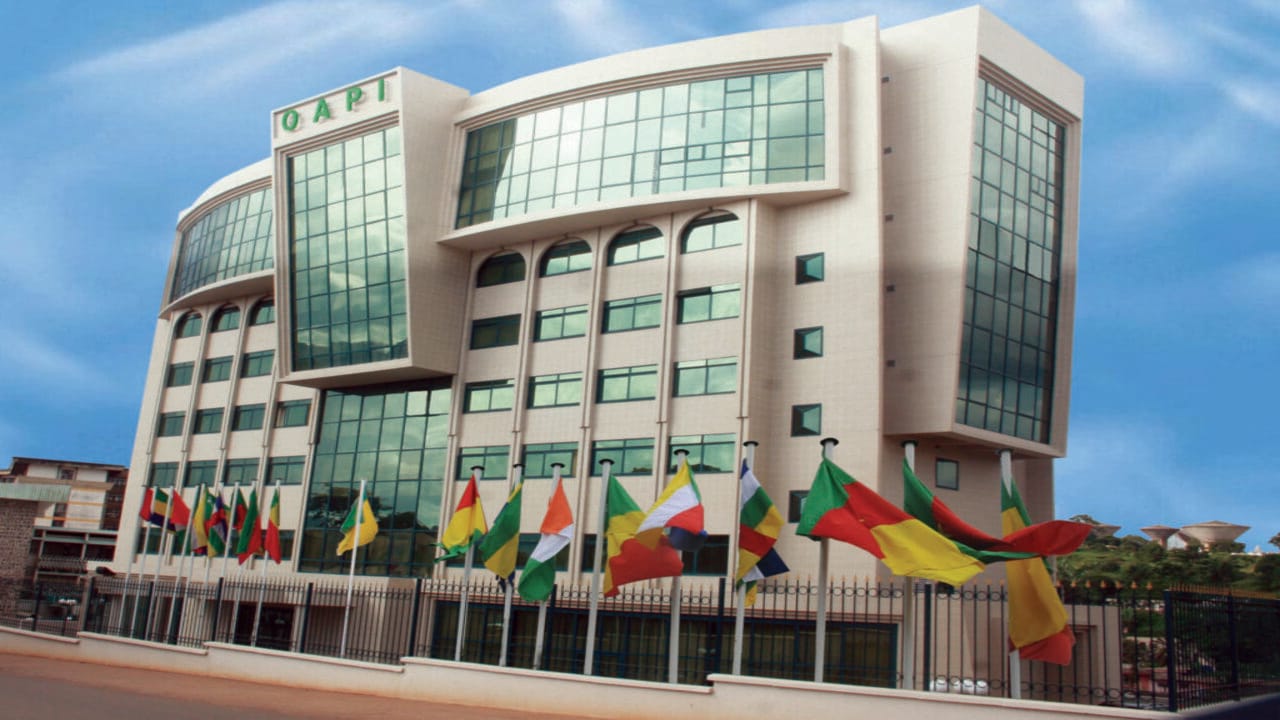 Recrutement OAPI Cameroun - offre d'emploi oapi