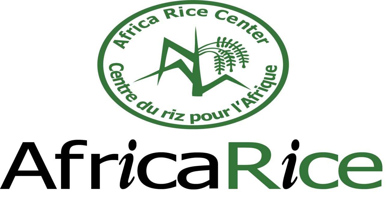 AfricaRice recrutement - comment faire acte de candidature ?