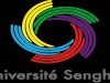 Coopération Europe Afrique / Appel à candidatures en Master 2 en Relations internationales Université Senghor